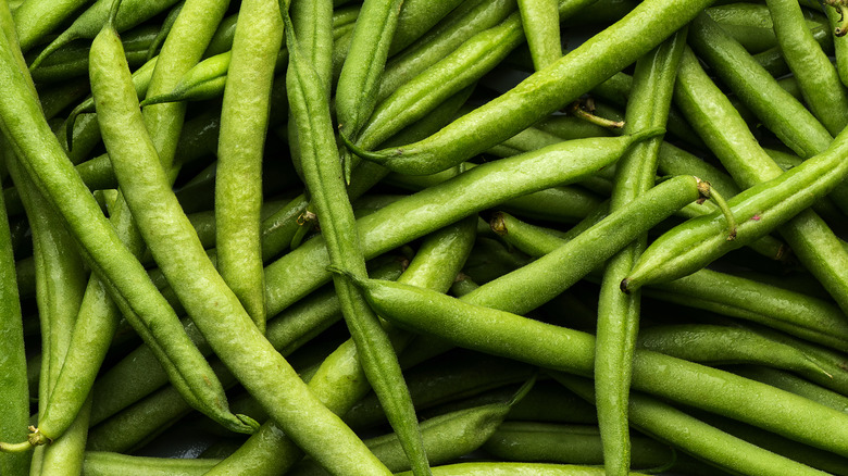 A pole of green beans.
