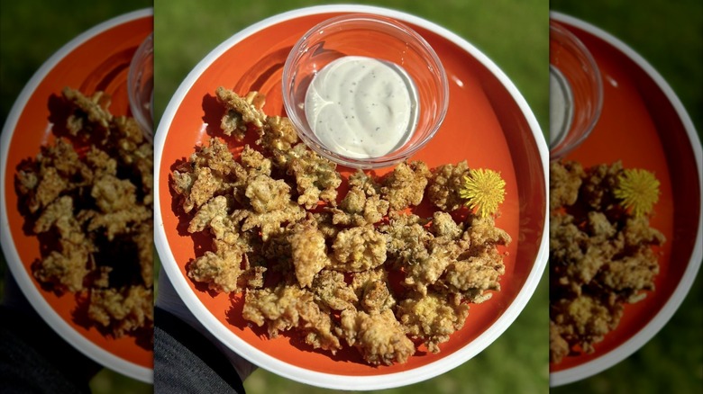 fried dandelions on an orange plate accompanied by a white dipping sauce