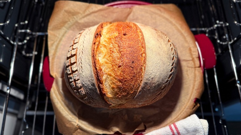 Person pulling sourdough out of the oven.