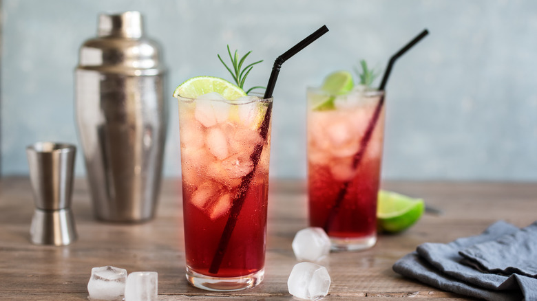 Sloe Gin Fizz Cocktail. Pink cold alcohol drink with ice, lime and soda