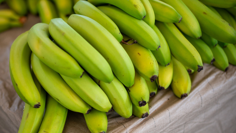 unripe bananas on a brown tablecloth