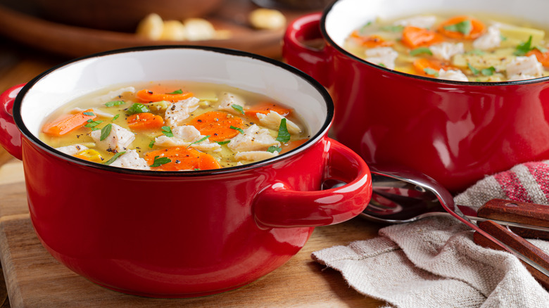 chicken soup with vegetables in red dishware