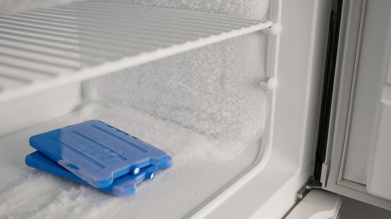 The inside of a freezer with ice packs visible.