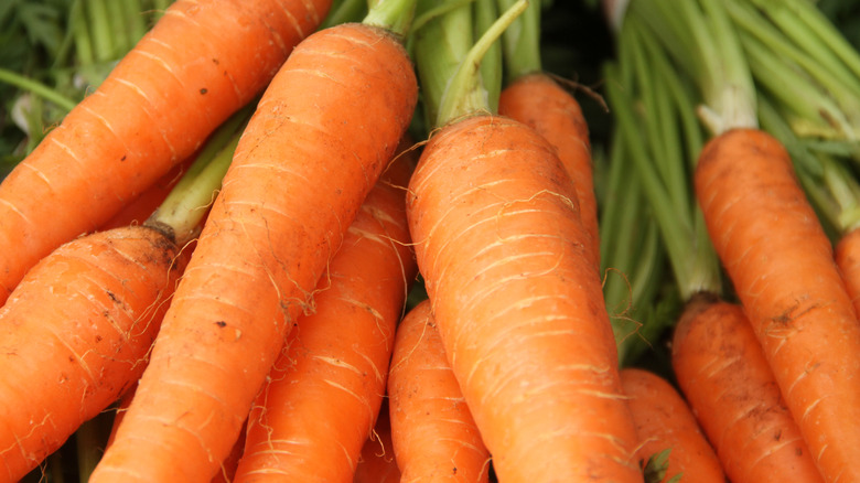 Raw carrots with stem in a pile