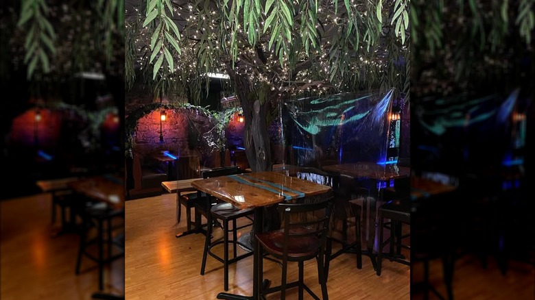 Tables and chairs under light covered branches