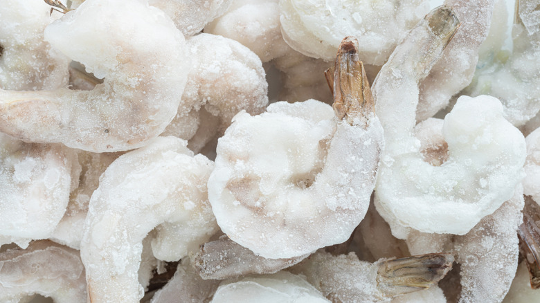 Close-up of frozen raw shrimp