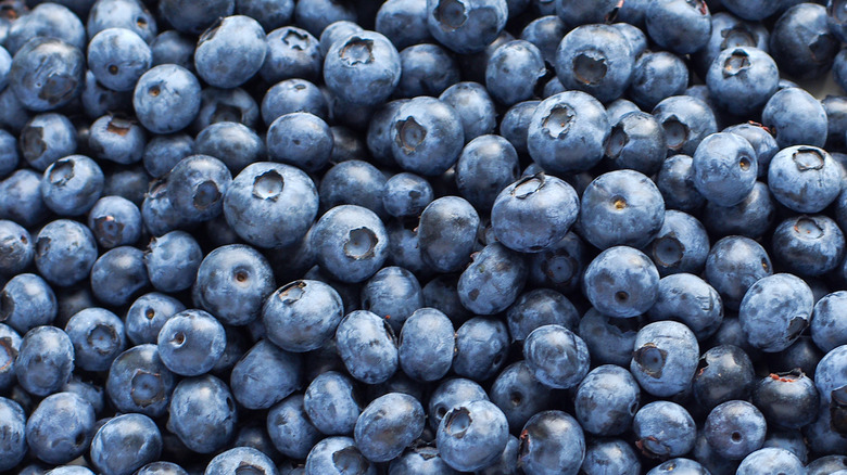 A big pile of blueberries seen from closeup.