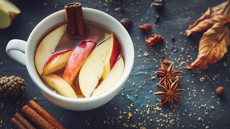 Apple Cider mug filled with apple slices, cinnamon, and surrounded by assorted spices.
