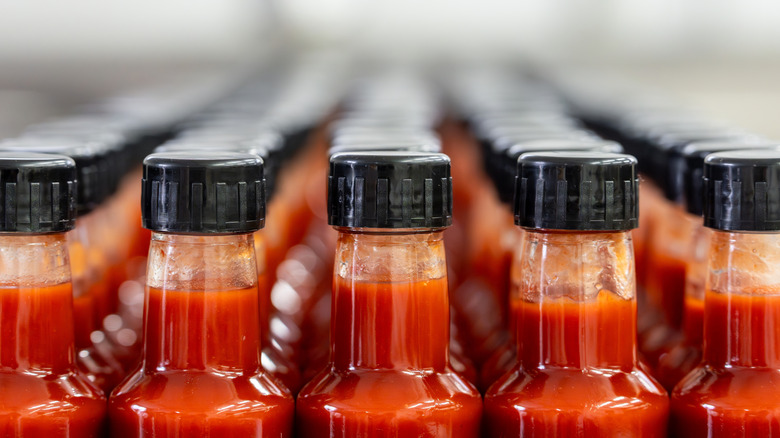 Rows of small bottles containing hot sauce