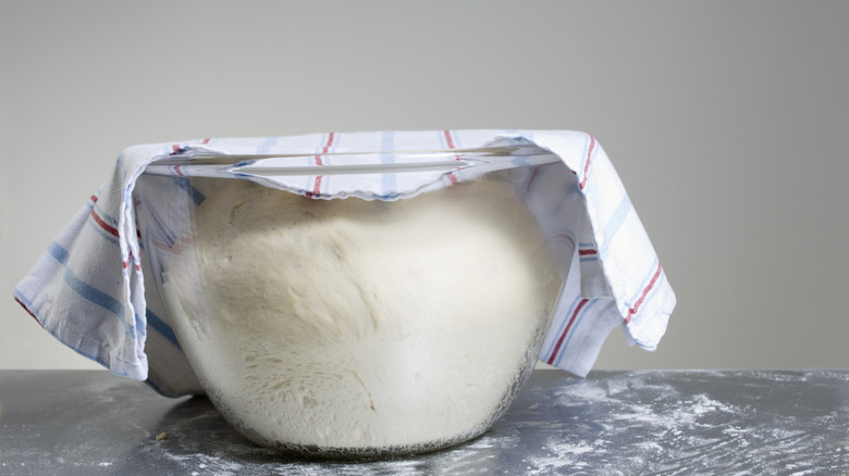 A bowl of dough that's covered in a towel and proofed in an oven