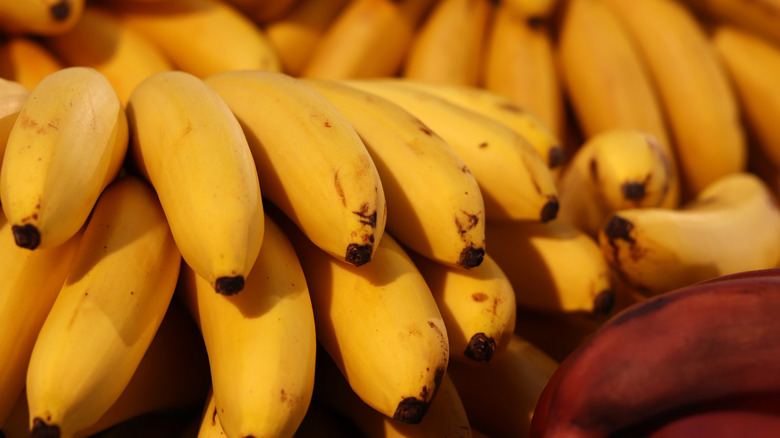 Stacks of yellow bananas with dark tips