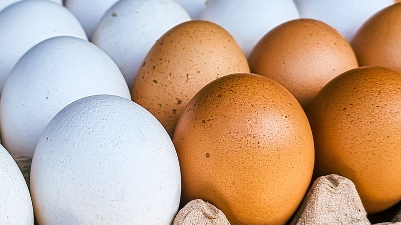 White and brown eggs in a carton