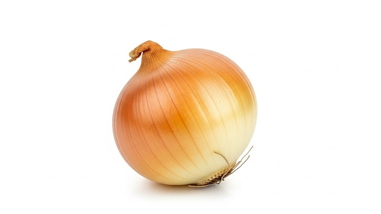 A whole onion on a white background