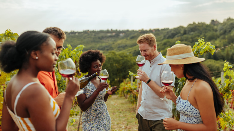 Group of people smelling and tasting wine in a vineyard