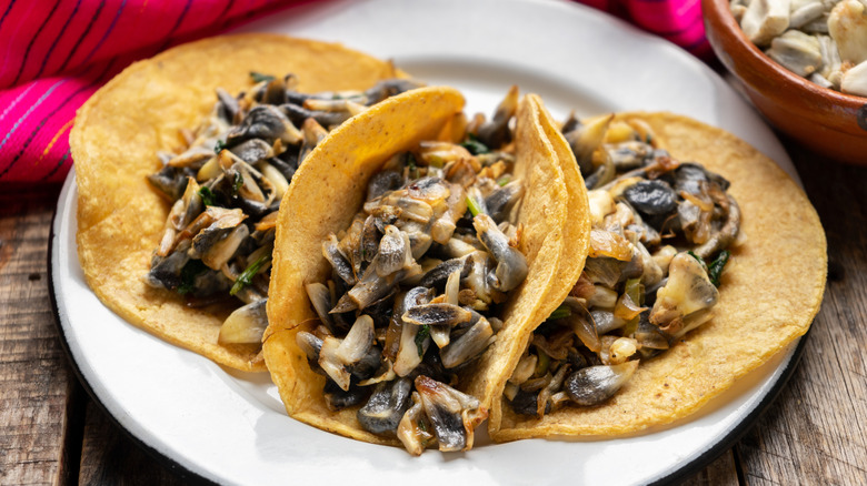 Plate of huitlacoche tacos