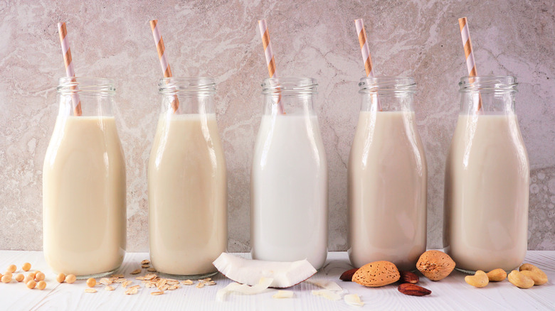 A variety of milk in glass jars