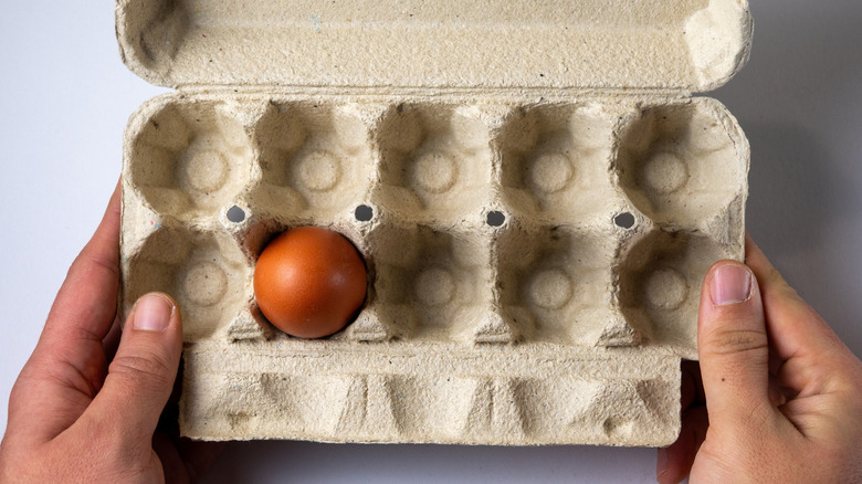 An egg carton with only one egg left