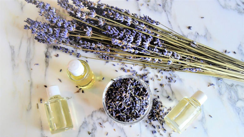 Dried lavender and lavender oil sitting on a counter.