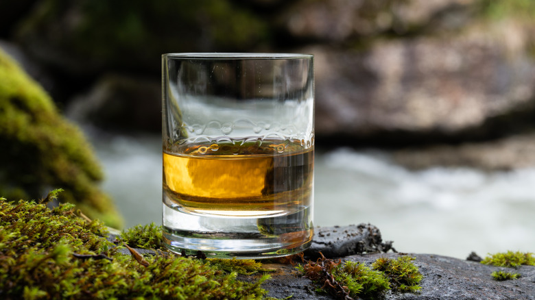 Whisky in a glass on a mossy rock by a river