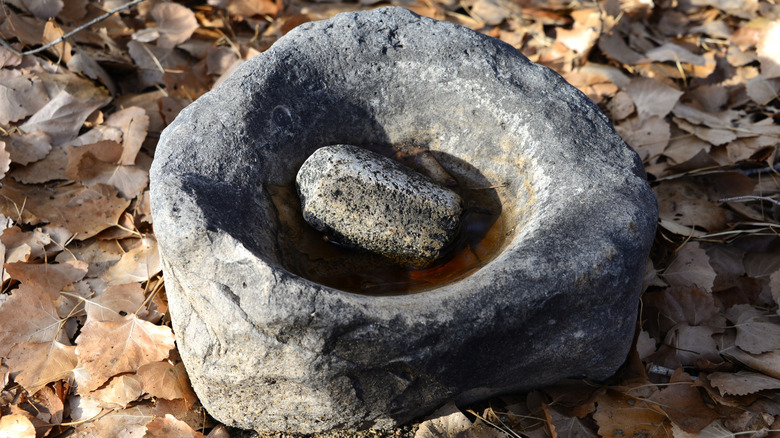 An ancient Native American grinding stone on leaves