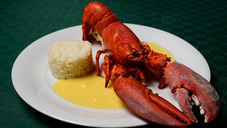 Lobster Newburg on a green patterned tablecloth