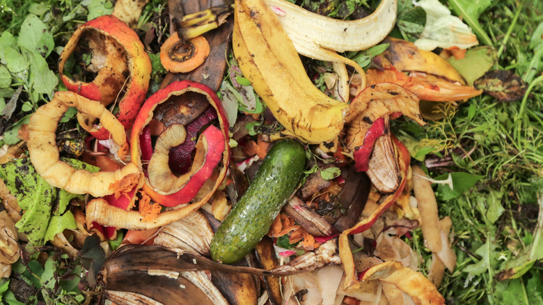 Fruit and vegetable food waste