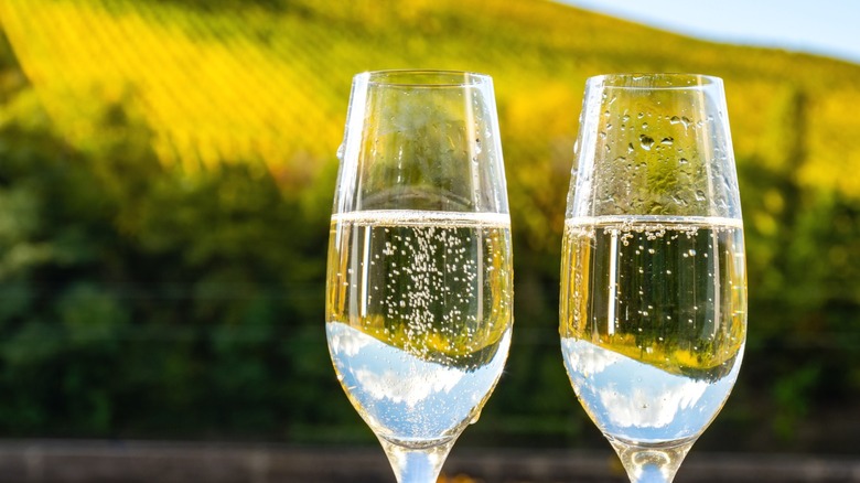 Two glasses of sparkling white wine outdoors.