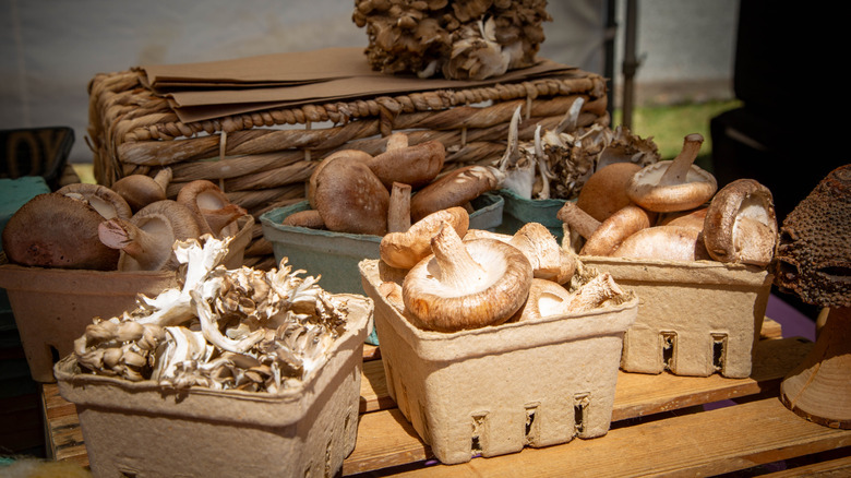 Wild mushrooms in individual packages