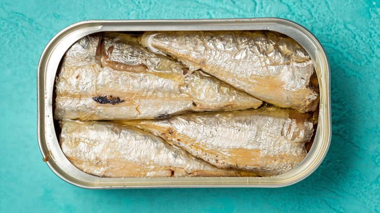 Open tin of sardines on a turquoise background