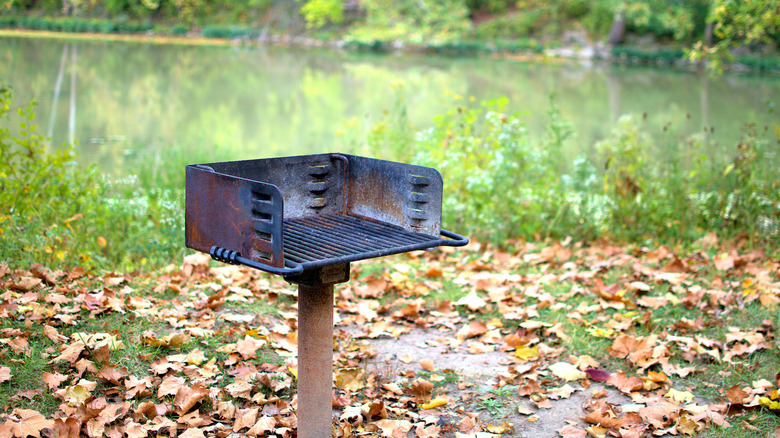 An outdoor charcoal grill in a public park near water and leafy ground
