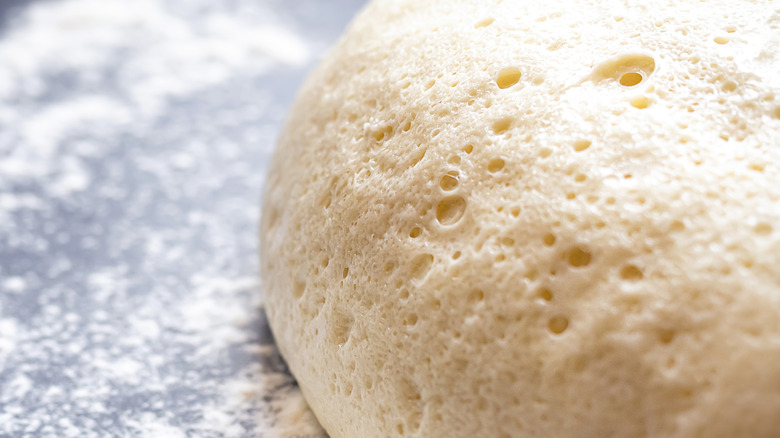 Closeup of dough rising on a floured surface