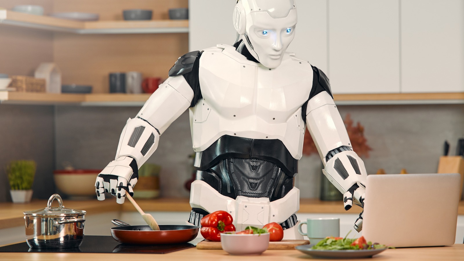chefee robotics shark tank net worth