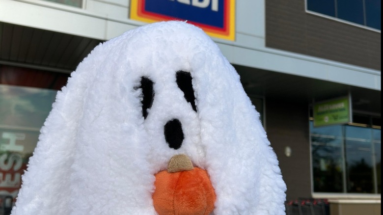 fleece ghost pillow outside an Aldi store