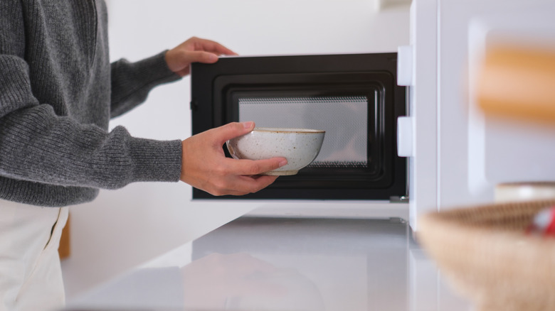 A person puts a bowl of food into a microwave oven