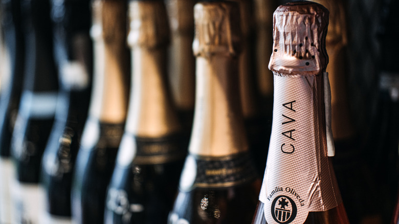 Close up of bottle necks of cava wines