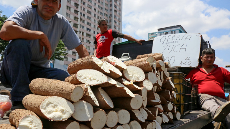 vendors sell fresh yuca cassava on side of road