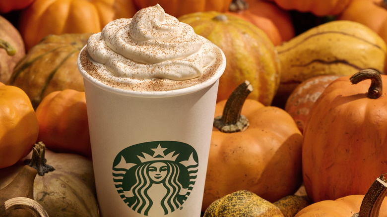 PSL surrounded by pumpkins