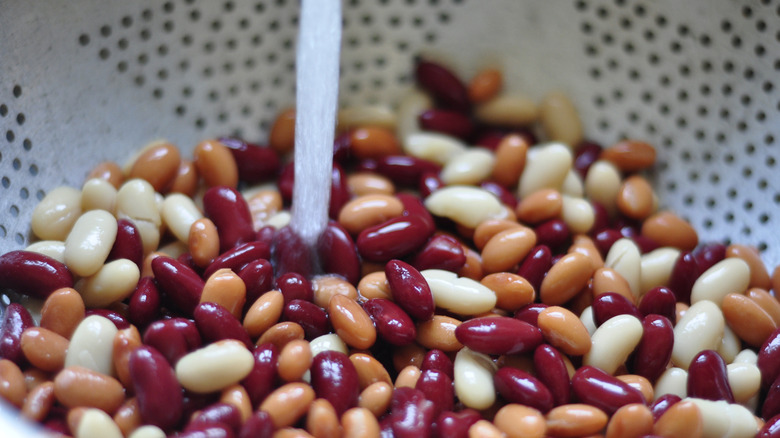 Closeup of canned beans in a colander under running water