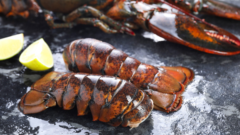 Two lobster tails on wet stone in front of a lobster