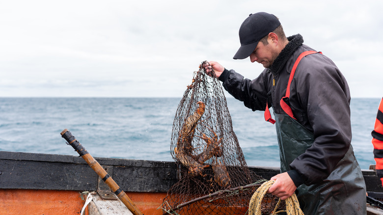 A fisherman with a lobster in his net.