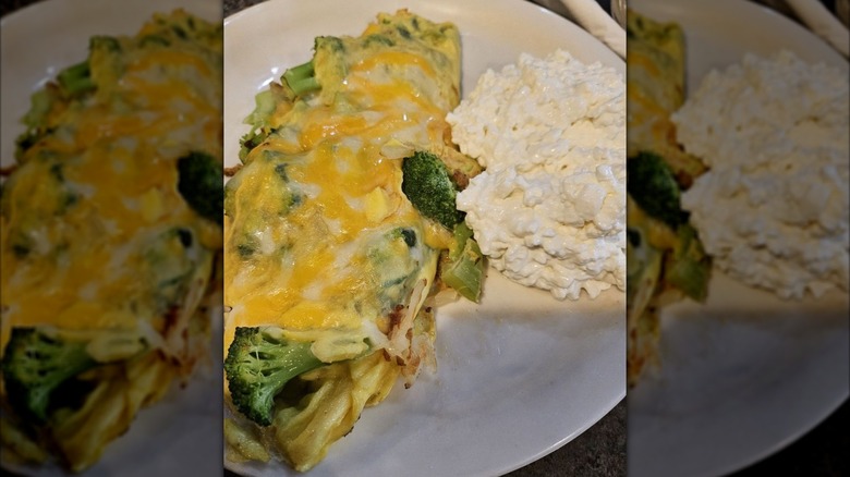 Garden omelet with side of cottage cheese from LeBaron's Honker Cafe on a white plate