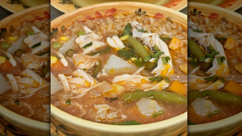 a bowl of soup with chicken, rice, corn, tomatoes, carrots, and green beans