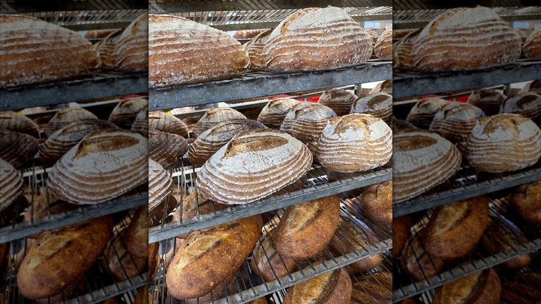 Breads on metal shelves