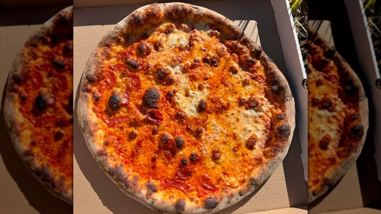 Charred cheese and pepperoni half-and-half pizza