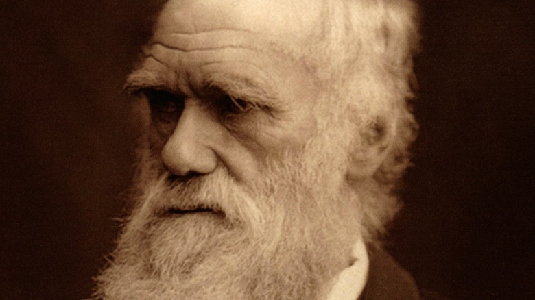 An antique photo of Charles Darwin.