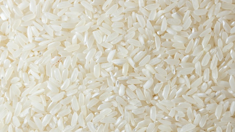 grains of white rice