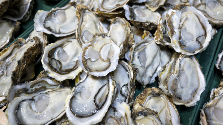 Top view of many open fresh oysters