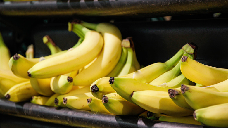 Bananas on store shelf
