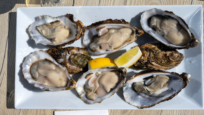 Fresh oysters on a platter with lemon wedges in the middle