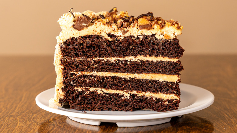 A slice of chocolate cake with peanut butter frosting on a white plate